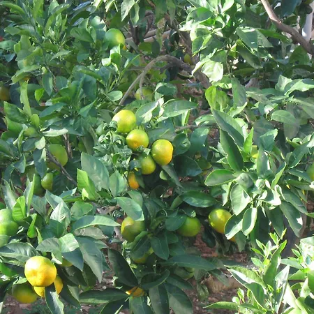 For Four Persons With Sea View In Near The 特罗吉尔