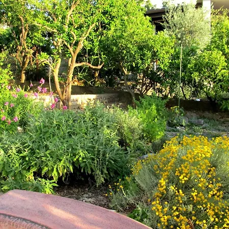 Apartament For Four Persons With Sea View In Near The *