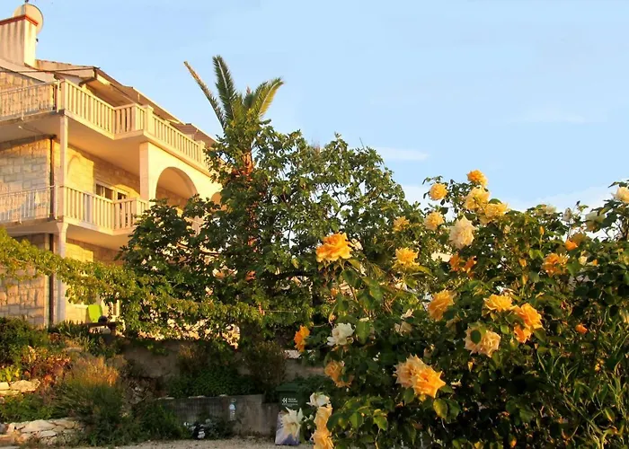 Appartement For Four Persons With Sea View In Near The