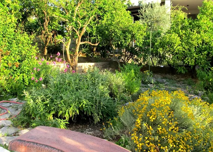 Appartement For Four Persons With Sea View In Near The *